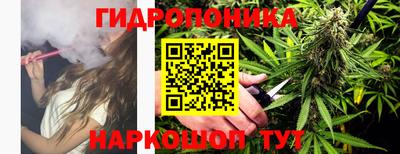 прущий лед Кингисепп