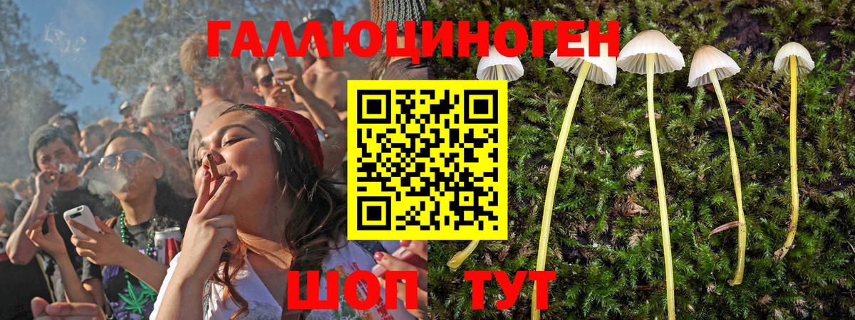 Галлюциногенные грибы GOLDEN TEACHER  Псилоцибиновые грибы мухоморы  Вход с VPN  Валуйки 