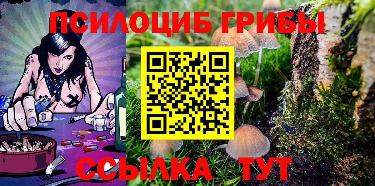 Галлюциногенные грибы Cubensis Валуйки